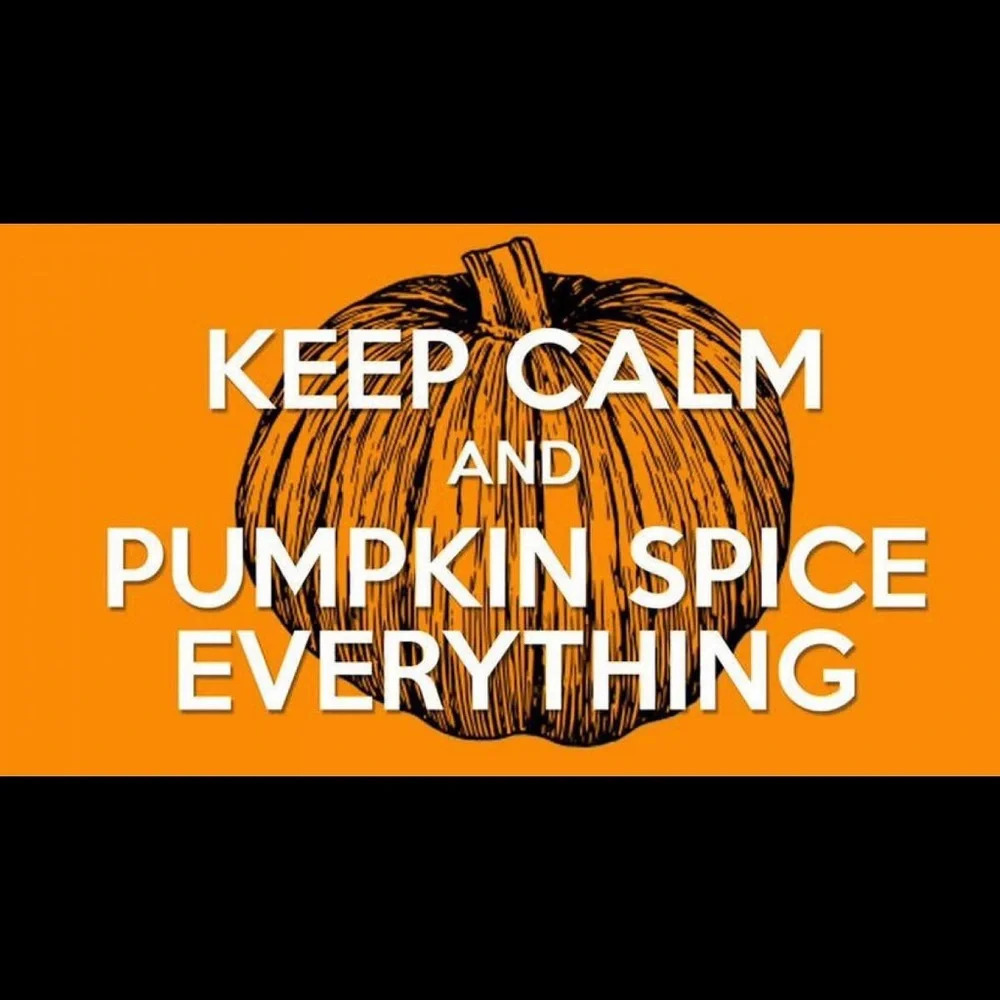Yankee Candle Spiced Pumpkin Car Jar Air Freshener - Picture 5 of 5